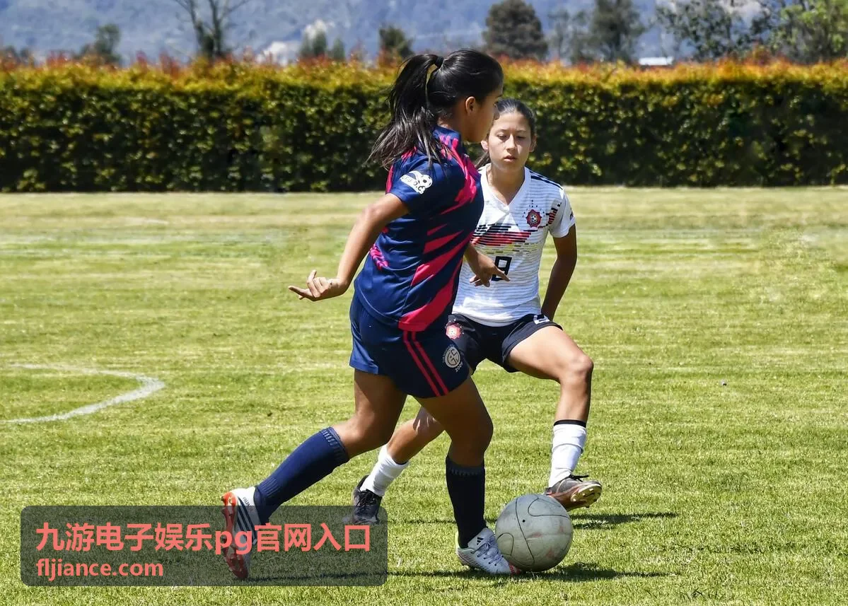 九游信息服务注意事项背景