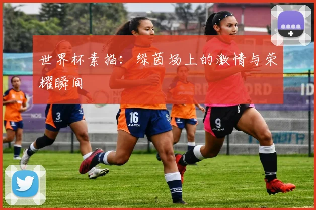 世界杯素描：绿茵场上的激情与荣耀瞬间