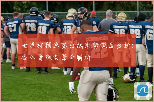 世界杯预选赛出线形势深度分析：各队晋级前景全解析