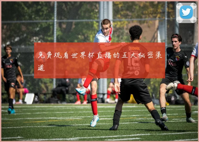 免费观看世界杯直播的五大秘密渠道